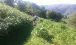 IMG-20160706-WA0008.jpg