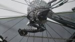 IMG_20160505_121614.jpg