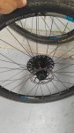 IMG_20160710_155142.jpg