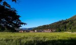 20160709_081841_edited.jpg