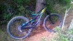 devinci.jpg