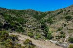 DSC_3766-2.jpg
