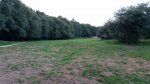 20160711_213310.jpg
