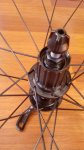 IMG_20160623_165547.jpg