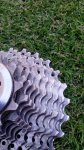 IMG_20160712_210858.jpg