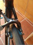 IMG_20160713_100451.jpg