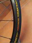 IMG_20160713_100644.jpg