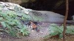 DSC_0718.JPG