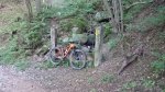 DSC_0726.JPG
