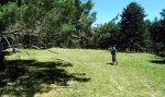 IMG_20160716_132546.jpg