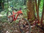 IMG_20160717_112344-01.jpeg