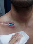IMG_20160630_095730.jpg
