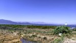 IMG_20160717_134111.jpg