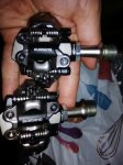 IMG_20160717_230337.jpg