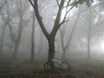 IMG_20160719_094311.jpg