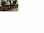 XX1.png