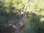 kdd lliria 042.jpg
