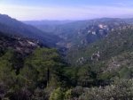 071020071839.jpg