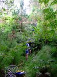 2007-10-09 Sagar erreka081.JPG