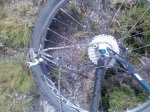 Mtb001.1.jpg