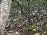 IMG_0194.JPG