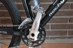 Foto1.gif