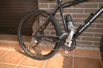foto5.gif