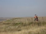 IMG_4275.JPG