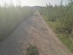 IMG_20160721_193733.jpg