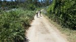 20160715_141117.jpg