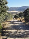 IMG_20160724_090315.jpg