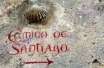 imagesTHRO5DT7.jpg