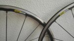 IMG_20160711_143542.jpg