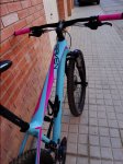 DSC01412.JPG