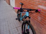DSC01413.JPG