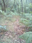 IMG_20160725_193506.jpg