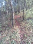 IMG_20160725_194421.jpg