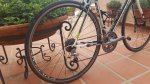20160628_103724.jpg