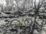 20160726_105051-2.jpg