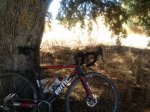 IMG_20160730_114915.jpg