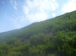 P1190650_800x600.jpg