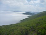 P1190664_800x600.jpg