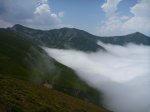 P1190667_800x600.jpg