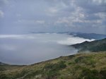 P1190673_800x600.jpg
