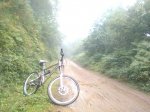 IMG_20160731_104256.jpg