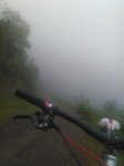 IMG_20160731_105117.jpg