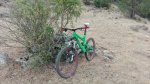IMG_20160731_090817.jpg