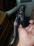 IMG_20160731_204740.jpg