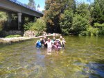 IMG_20160731_135417.jpg