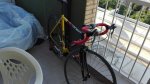 IMG_20160721_202447.jpg